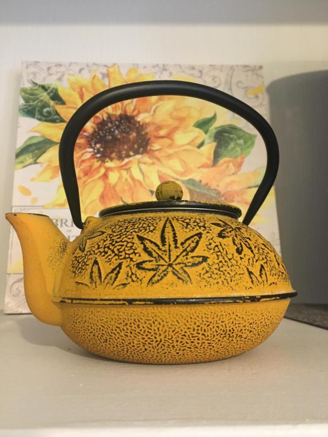 Sancerre Sunflower - Tournesol De Sancerre Εξωτερικό φωτογραφία